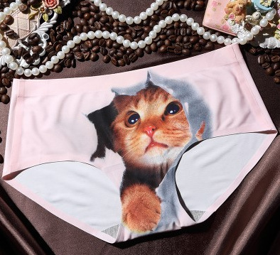 Women Anti Emptied Underpants 3d Cat Head Seamless Ice Silk Briefs